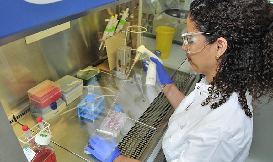 Im Labor bearbeitet eine wissenschaftliche Mitarbeiterin eine Zellkultur.