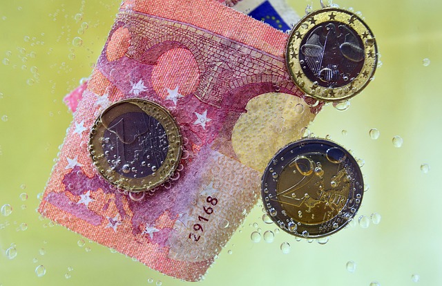 Geldscheine und Münzen im Wasser