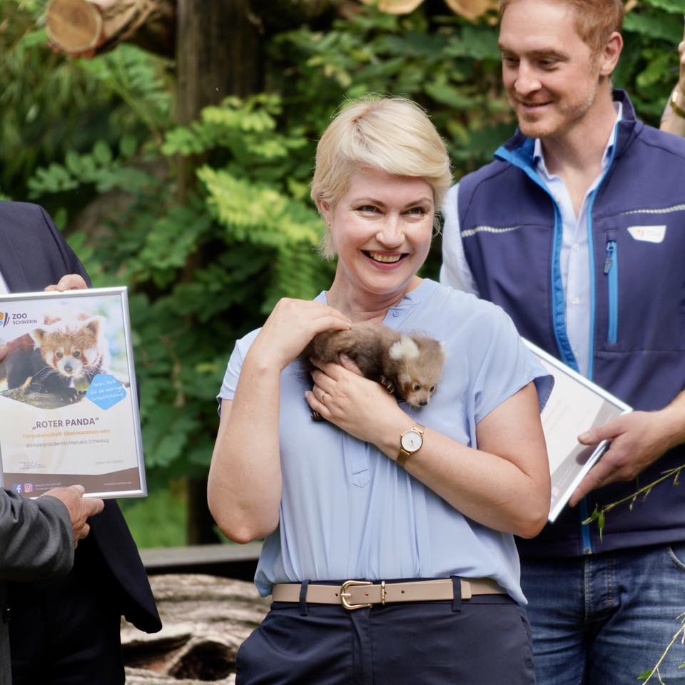 Die Ministerpräsidentin hält den kleinen Roten Panda in den Händen. Im Hintergrund ist links die Patenschaftsurkunde zu sehen und rechts Zoodirektor Dr. Tim Schikora