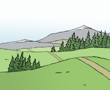 Eine Zeichnung von einer Landschaft mit Bäumen und Wiesen.